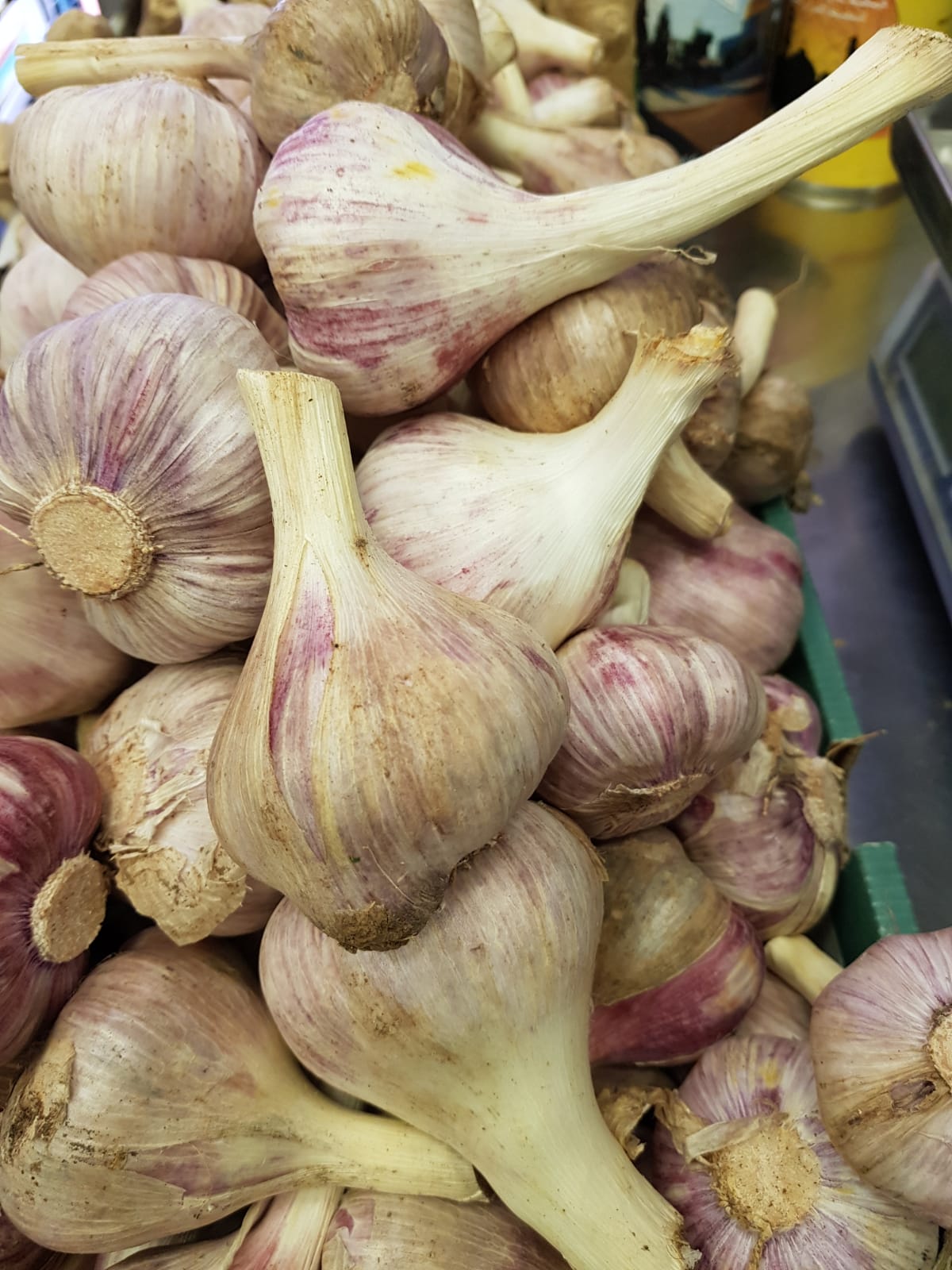 WhatsApp Image 2020-04-19 at 7.02.39 PM.jpeg.jpeg